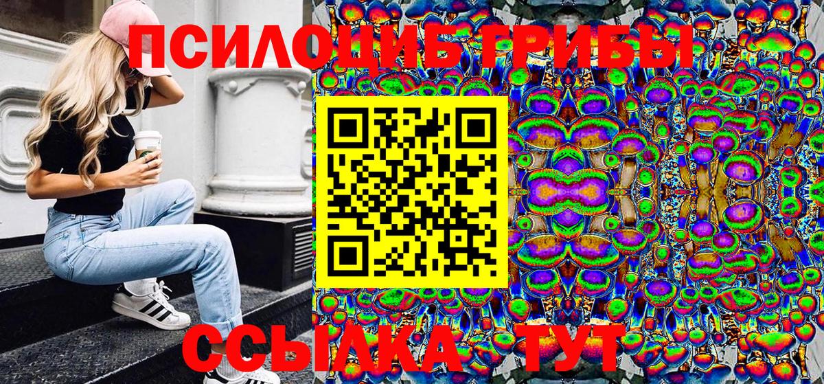 Псилоцибиновые грибы Psilocybine cubensis Зеленодольск